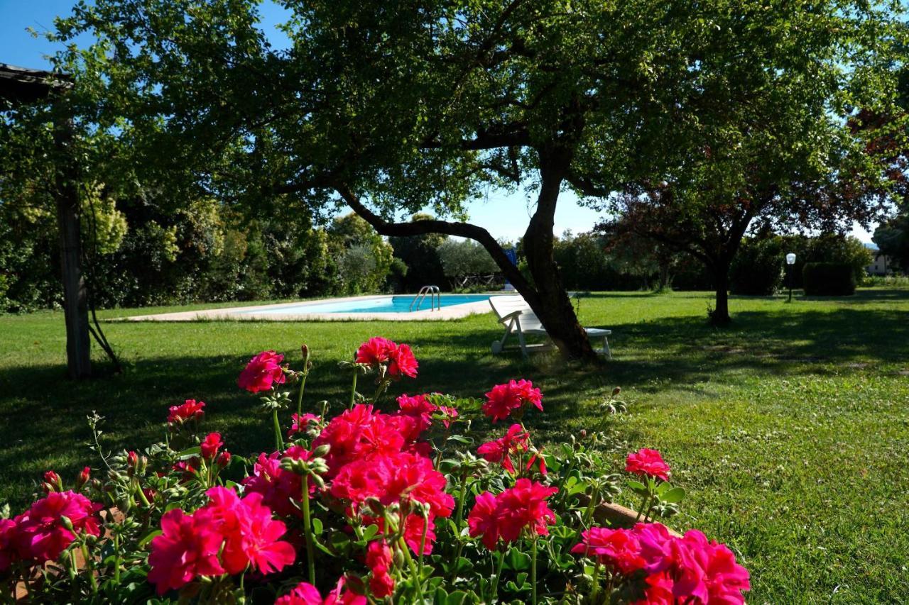 Villa Lamatra - Private Pool Near Sansepolcro Lama  Екстериор снимка