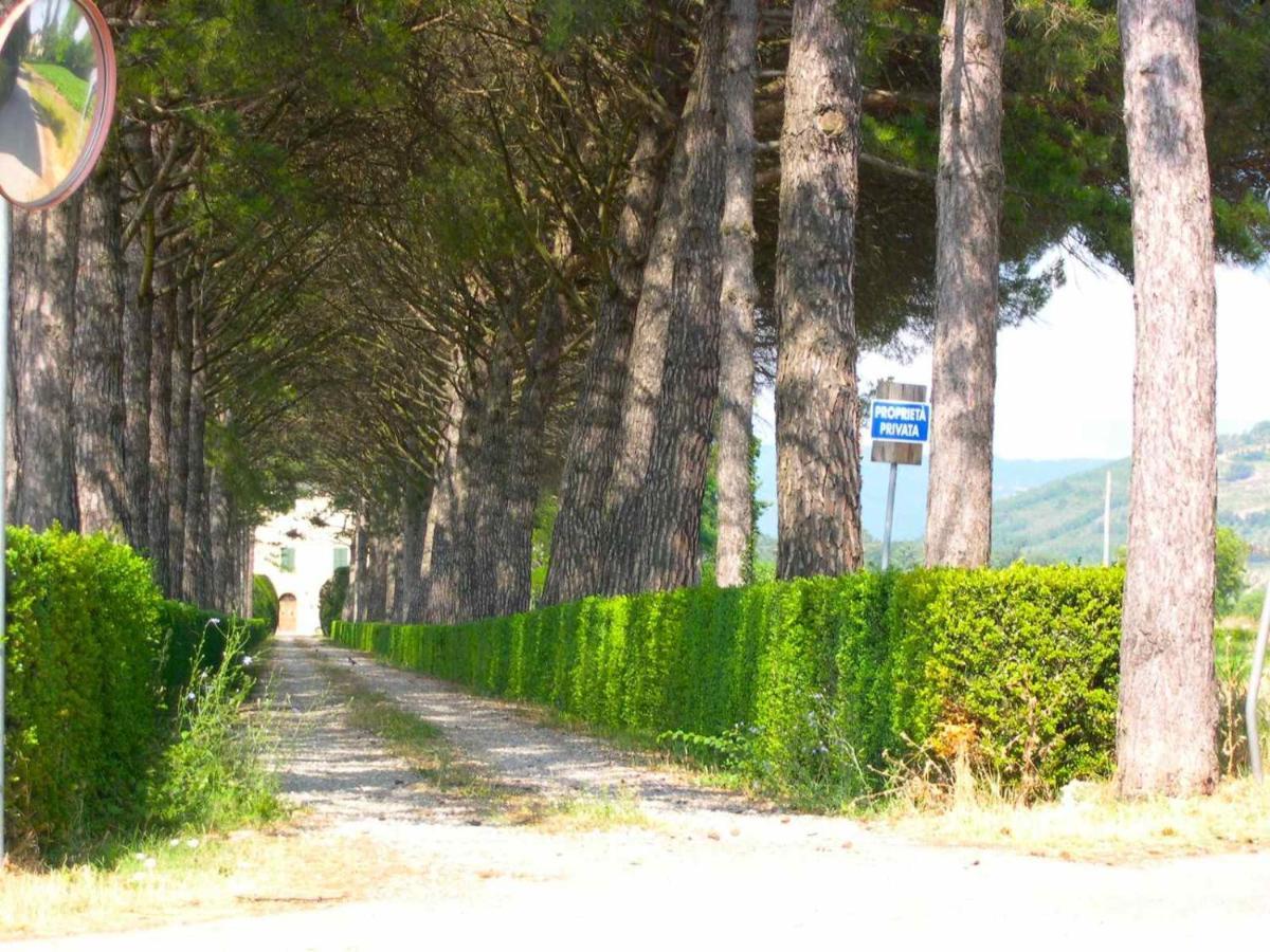 Villa Lamatra - Private Pool Near Sansepolcro Lama  Екстериор снимка